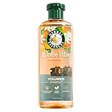 Herbal Essences Volumen Shampoo mit Orangenduft 350ml, Von feinem Haar zu gestärktem Haar voller Volumen von der Wurzel bis zur Spitze, Mit Inhaltsstoffen natürlichen Ursprungs, Vegan, ohne Silikone