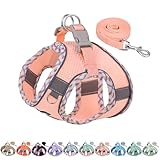 AIITLE Kleines Hundegeschirr, Katzengeschirr mit Leine, einstellbares Hundegeschirr mit Schnellverschluss, reflektierende Weste für extra kleine Hunde und Hauskatzen Rosa XXS