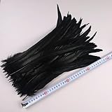 50 Stück 35–40 cm Hahnenschwanzfedern für Bastelarbeiten, Karnevalszubehör, natürliche Lange Federn, Hühnerdekoration, Federkopfschmuck