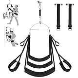 Roluck Liebesschaukel für Sex, Sexschaukel für Decke & Tür Hängen, Bequeme Sex Schaukel für Erwachsene mit Breites Sitzkissen, Robustes SM Bondage Set für Paare, Sex Swing bis zu 363 kg Belastbar