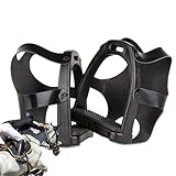 Staffeln Equestri - Rutschfeste Sicherheits-Fußstütze, langlebige Reitausrüstung mit rutschfester Oberfläche | Für Reitausrüstung für Kinder und Männer