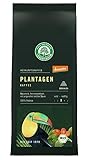 LEBENSBAUM Bio Herkunftskaffee, Mexiko Plantagen Kaffee gemahlen, Intensität 3/5, naturmilder, fein aromatischer Bio-Kaffee mit leichter Säure, 250 g