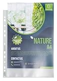 Exacompta Forever 5330E – Karton mit 500 gelochten Hüllen A4 – aus recyceltem genarbtem Polypropylen – Stärke 9/100 – Maße: 23 x 30,5 cm – kristallklar