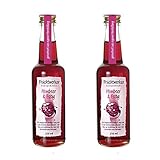 Fruchtwerker | Himbeer & Essig | Mit Saft aus echten Früchten| 2er Pack | 2x 250ml Glasflasche