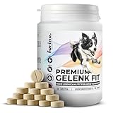 Gelenktabletten Hund [100 Tabl.] Gelenk- & Knochenschutz mit Grünlippmuschel & Teufelskralle – Natürliches Nahrungsergänzungsmittel mit Grünlippmuschelpulver für Vitale Hunde-Gelenke | furino