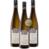 Oberkircher Winzer Gewürztraminer Auslese - COLLECTION OBERKIRCH - ein aromatischer Wein mit ausgeprägten Düften nach Rosen und Nelken - Badischer Wein, Anbaugebiet Ortenau (3 x 0,75l)