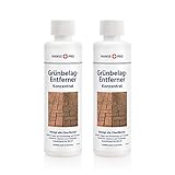 HANSE PRO Grünbelag-Entferner I Konzentrat I universell einsetzbar I Algen-Entferner I Steinplatten-Reiniger I Fassaden-Reiniger (2 x 250 ml) I ausreichend für bis zu 200 qm²