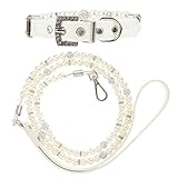 Abaodam 2 Stück Hundehalsband und Leine Set für Hunde Teiliges Set Design für Outdoor Aktivitäten Training und Besondere Anlässe Geeignet für Welpen und Kleine Hunde