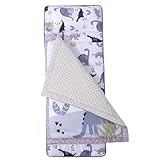 Kleinkind-Nickerchen-Matte, Thermal-Anti-Kick-Schlafsack, tragbare Rollmatte für Kindertagesstätte /47x20 (Dinosaurier)