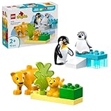 LEGO DUPLO Wildtier-Familien: Pinguine und Löwen – Spielzeug zur Förderung der Feinmotorik für Mädchen & Jungen ab 2 Jahren – Lernspielzeug für Kleinkinder mit 4 Tierfiguren – Geschenkidee – 10442