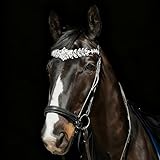 WANGZHAOKEJISM Pferde-Stirnband für englische Zaumzeug, gebogene Form, gepolstert, für Show und Dressur, glitzernd, glitzernd, Dressurrot