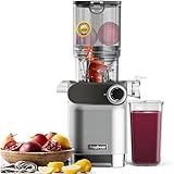 Anybear Entsafter, 200W Slow Juicer Kaltentsafter mit 110 mm großem Einfüllschacht für ganze Früchte/Gemüse | Upgraded Schnecke | Tritan-Material | BPA-frei | Inkl. Saftrezepte (Silber)
