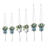 koitoy 6 Stück Makramee Blumenampel,Baumwollseil Hängeampel Blumentopf Robust Makramee Pflanzenhalter Blumenampel für Innen Außen Decken Balkone Wanddekoration