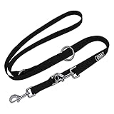 DDOXX Nylon Hundeleine - 2m, 3fach verstellbare Hundeleine für alle Hundegrößen - M (Schwarz)