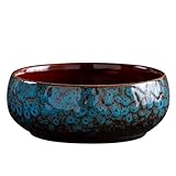 Blumenschale - Blaues rundes kakttus -Lilie -Becken Retro | Keramikhydroponischer Pflanzer | Runde Wasserpflanzentopf | Lily Bowl Pflanzer Pot | Basin Vintage Bowl | Dekorationsblumentopf in Innenräum