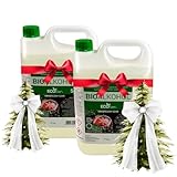 10 Liter Bioethanol mit Weihnachtszauber-Duft (2 x 5L Kanister) | Biobrennstoff für Bioethanol-Kamine, für Ethanol-Kamin, Tischkamin Indoor/Outdoor – Rauchfrei & sauber – von Bioetanol AEG BP-SC-10L