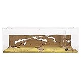AntHouse - Natürliche Ameisenfarm aus Sand - Big Acryl Starter Set 30x15x10 cm (Ameisen)