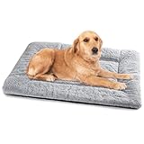 Baodan Waschbar Hundebett Mittelgroße Hunde - 90x60 cm Hundekissen flauschig Hundedecke rutschfest Hundebetten für mittelgroße Hunde, grau