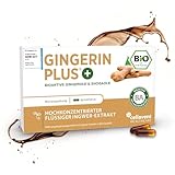 Bio Ingwer-Extrakt Kapseln | 22.000mg Ingwer Pulver | höchste Gingerol & Shogaol Werte | 2 Kapseln Gingerin PLUS entsprechen 33 herkömmlichen Kapseln