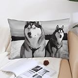 GHENBLT Kissenbezug für draußen, Huskyhunde, mit Reißverschluss, dekorativ, weicher Körper-Kissenbezug, verblasst nicht und knitterfrei, rechteckig, für Bett, Sofa, Couch, 30,5 x 50,8 cm