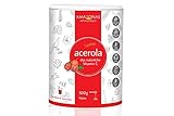 Acerola Pulver von Amazonas Naturprodukte - Natürliches Vitamin C aus ganzen Acerola Kirschen | Vitamin C-Depot auffüllen | Frei von Farbstoffen & ohne Gentechnik | Vegan | Premium-Qualität | 500 g