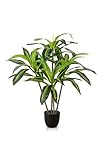 PASCH® Drachenbaum Kunstpalme groß (100 cm) - Langlebig & Naturgetreu | Realistische Kunstpflanzen groß | Künstliche Pflanzen groß | Palme künstlich | Künstliche Palme für natürliches Ambiente