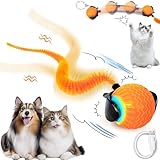Katzenspielzeug Elektrisch Katzenball, Interaktives Katzenspielzeug Ball, Automatischer 360 Grad Rollball Hundespielzeug mit LED-Licht, USB Wiederaufladbarer Power Katzenball für Katzen Hund (A)
