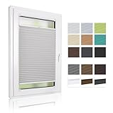 ALOHA Plissee nach maß, Plissee zum Kleben Sonnenschutz Plisseerollo Jalousie Lichtdurchlässig und Blickdicht für Fenster & Tür(Höhe 50-149cm)