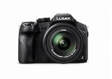 Panasonic LUMIX FZ300 12,1MP 4K Allround-Brückenkamera mit robustem Design, 24-fachem optischem Zoom, Leica-Objektiv und WLAN (DMC-FZ300GNK)