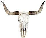 Veronese Design Bullenschädel Longhorn Schädel Skull Totenschädel Schädel Geweih Figur