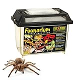 Exo Terra Faunarium, Allzweckbehälter für Reptilien, Amphibien, Mäuse und Insekten, klein 23 x 16,5 x 15,5cm