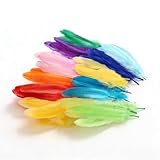 Tourima DIY Bastelfedern Set 50 STK, Hell Bunte Federn Zum Basteln & Dekorieren, Große Federn Bunt & Weiß,Feder Set Für Traumfänger Basteln Kinder, Ohrringe, Oster Deko, Bastelbedarf & Bastelmaterial
