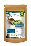 Gerstengras Pulver Bio 1000g - Laborgeprüft - 1kg Gerstengraspulver aus Bayern im Zippbeutel - Top Qualität