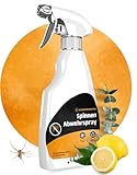 Schädlingsmeister Spinnen Abwehrspray - 500 ml - Schutz mit Eukalyptus & Chrysanthemum-Extrakt - Anti Spinnenspray - Spinnenabwehr - Spinnen vertreiben - Made in Germany