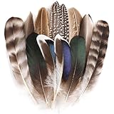 Muorruo 12 Stück Naturfasanfedern, Federn in 6 verschiedenen Ausführungen für DIY-Bastelarbeiten wie Hüte, Blumenarrangements, Halloween, Karneval, Traumfänger und Dekorationen