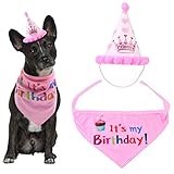 Happyyami Hund Geburtstagshut Für Haustiere Happy Birthday ütze Mit Aufschrift Für Hunde Und Katzen Festliches Accessoire Für Den Tierischen Geburtstag