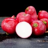 radieschen samen bio, hochbeet, pflanzen samen indoor rettich samen bonsai samen, bodendecker winterhart mehrjährig gewächshaus balkon, gemüsebeet balkon samen gemüse, pflanzen garten 550pcs