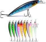 Aozzy 10 Teilig Blinker und Spinner Köder Angelzubehör Angeln, Wobbler Angelköder, Perfekt zum Angeln auf Forellen, Barsche, Raubfische, Zander und Hechte