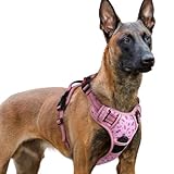 rabbitgoo Hundegeschirr Grosse Hunde, Verstellbare Geschirr Hund ohne Zug & Würgen, Anti Zug Hundegeschirr mit Griff, weich Gepolsterte Reflektierende Brustgeschirr, Blume Rosa XL