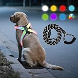 WATSABRO LED Hundegeschirr Set, mit 1,5m Reflektierende Hundeleine, Verstellbare Aufladbares Beleuchtetes Hundegeschirr für Nachtspaziergänge(Nicht geeignet für kleine Hunde wie Chihuahuas)