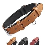 Grand Line Leder Hundehalsband, Lederhalsband Hund mit Weichem Gepolstertes, Breiter und Dicker Hundehalsband, Verstellbares Halsband Hunde für Kleine, Mittlere, Große Hunde (Braun, M)
