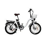 KIMDYMA 20 Zoll Faltrrad E-Bike Erwachsene City Bike 48V 10Ah Akku 60 km Reichweite Fatbike 20x4.0 Reifen Klapprad LCD Display 250W Motor
