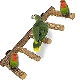 QeeHeng Vogelständer, Papageien-Sitzstange, Naturholz Vogelsitzstangen Gestuft, Spielzeug Vogelkäfig-Zubehör für Kleine, Mittelgroße Papageien, Wellensittiche, Aras, Liebesvögel