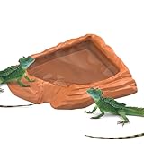 Schildkröten-Wasserschale, Reptilienbad, Pool-Becken | Platzsparende Schildkröten-Wasserfutterschale für Schildkröte, Schlange, Bartagame, Gecko, Aquarium, Terrarium, Lebensraum