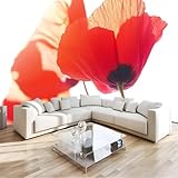 Blumenreflexion Tapete Wandbild 3D Fototapete Veilchen Tulpen Wandtapete Foto für Modernes Design der Fernseh Hintergrund Wand-Kunst-Deko,150 x 105 cm (B x H)