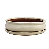 Exotenherz - Bonsai-Schale mit Unterteller Gr. 3 - hellbeige - oval - Modell O47 - L 19cm - B 13,5cm - H 5cm