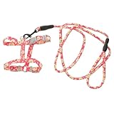 NUOBESTY Verstellbares Katzengeschirr mit Anti Flucht Leine Robustes Outdoor hundegeschirr für Kleine Katzen und Kätzchen Komfortables Brustgeschirr mit Einfachem Anlegen für Spaziergänge