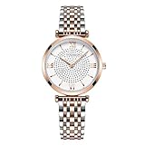 Basfur Dress Watch Fe-Montre-074-01