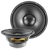 Fenton WP25 - Einbaulautsprecher HiFi Tieftöner Bass Lautsprecher, 25cm, PP-Membran Chassis Ersatz Basslautsprecher, 250 Watt - 8 Ohm Tieftöner - 10' Membranlautsprecher, Ersatzspeaker
