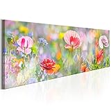 decomonkey Bilder Blumen Mohnblumen 120x40 cm 1 Teilig Leinwandbilder Bild auf Leinwand Vlies Wandbild Kunstdruck Wanddeko Wand Wohnzimmer Wanddekoration Deko bunt